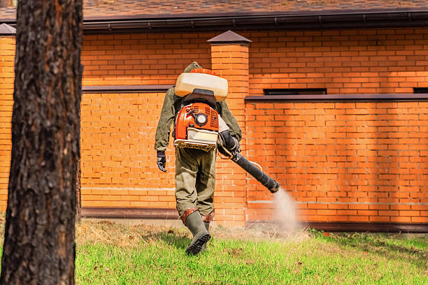 Bed Bug Clearance Verification and Documentation in Gibsonburg